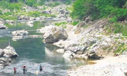 인제 상남서 다슬기 잡던 60대 물에 빠져 숨져