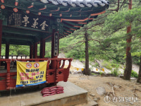 유명 피서지 동해 무릉계곡, 본격 피서철 앞두고 관리 엉망