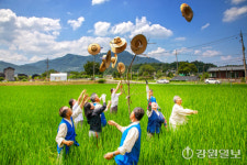 [포토뉴스] 춘천 사암리 세시풍속-논고사제, 백중놀이
