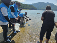 사진뉴스=K-water 소양강댐 지사 치어방류행