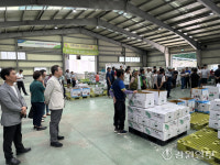 [포토뉴스] 대관령원예농협 산지도매시장 초매식