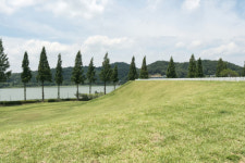 [팔도핫플레이스] 아산 신정호, 충남 제1호 지방정원 지정…생태·문화·관광이 어우러진 녹색 거점