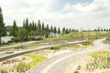 [팔도핫플레이스] 아산 신정호, 충남 제1호 지방정원 지정…생태·문화·관광이 어우러진 녹색 거점