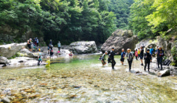 [포토뉴스] 아침가리 계곡 트레킹 인기