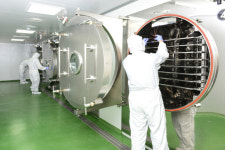 [강원경제인대상 수상기업] ‘장 속 유익균’ 연구·생산 30년 역사, 30개국 수출