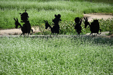 흐드러진 메밀꽃 속 효석 문학의 향연 … 평창군 2025 효석문화제 개막