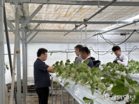 [포토뉴스]농협 삼척시지부, ‘농심천심운동’ 발대식