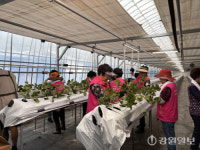 [포토뉴스]농협 삼척시지부, ‘농심천심운동’ 발대식