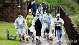 [포토뉴스]2025 마실중DOG…댕댕이와 산책해요!