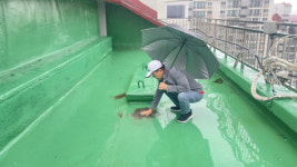 속초의 한 아파트, 3억 들인 옥상 방수공사 부실 논란