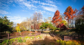 횡성 3.1공원, 산림청 모범도시숲 최종 선정