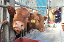 강원특별자치도, 겨울철 축산 재해 대응 체계 강화