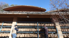 [포토뉴스]전통메주가 익어가는 대관령