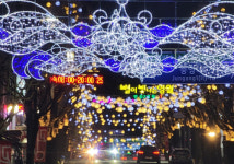 겨울밤 영월 중앙로, 레드·골드 빛으로 물들며 화려한 빛의 거리로 변신