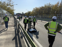 강릉시-강원도립대 GPR 공동탐사로 도심 주요도로 안전점검