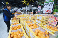 [포토뉴스]제철 맞은 감귤 인기!