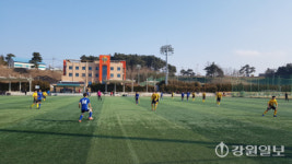 전지훈련 성지로 떠오른 강원… 스포츠가 지역경제 살린다