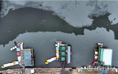 [포토뉴스] 꽁꽁 언 공지천