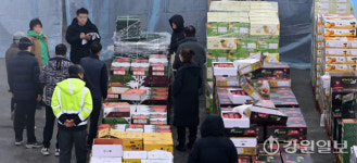 [포토뉴스] 설 앞둔 농수산물 도매시장