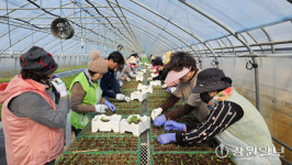 [포토뉴스]농촌 봉사활동