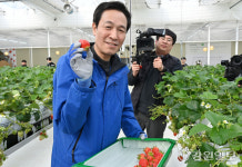 [포토뉴스]우상호 강원도지사 예비후보의 첫 행보, 딸기 농장 방문