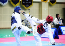 전국 태권도대회 열기 이어가