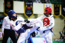 전국 태권도대회 열기 이어가