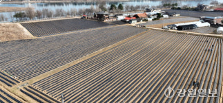 [포토뉴스]비닐 가격 상승에 농촌도 걱정