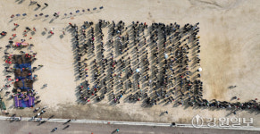 [포토뉴스] 춘천시 2026 희망의 나무 나눠주기 행사