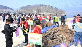 [포토뉴스] 춘천시 2026 희망의 나무 나눠주기 행사