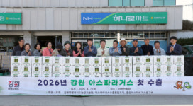 강원농업기술원, 2026년산 아스파라거스 일본 첫 수출