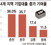“전략산업 보유한 춘천·원주·강릉·동해 기업대출 집중”