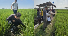 그로우스앤밸류에이엠 | 에이그로우, 인도네시아 진출…글로벌 농업 밸류체인 사업 본격화