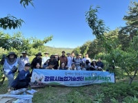 [포토뉴스]강릉시농업기술센터, 농촌 일손돕기