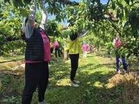 [포토뉴스]한국건강관리협회 강원특별자치도지부, 농촌 일손돕기 봉사활동