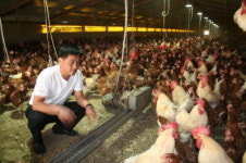 영주 권석은씨, 국내 최초 무항생제 축산물 인증