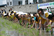 월배농협, 어린이 모심기 체험 행사