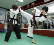 (종합격투기)효도르 좋아하는 격투기 사범 김민정씨