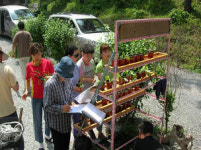 영양 검마산자연휴양림  야생화 나누어 주기 행사