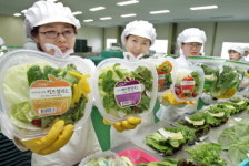 깻잎을 팔아도 디자인에 눈떠라