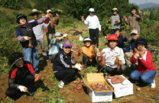 상주 신흥동·내서면 사무소, 불우이웃에 고구마 전달