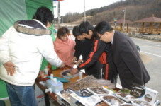 포항 과메기 이명박 특수