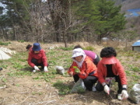 상옥참느리 정보화마을로 봄나물 캐러 오세요