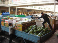 대구농수산물도매시장 20년 <하>서울 강서도매시장의 시장 도매인제