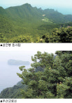 농업회사법인(주)울릉나비 | [토종이 경쟁력이다]토종으로 가득 찬 곳, 울릉도