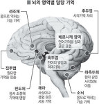 두뇌공학 활용한 기억력 키우기