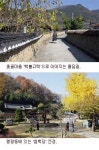 [종점투어]동구3번 종점 옻골마을
