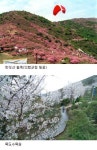 [주말]경남 의령