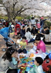 산·들·야구장·공원 상춘인파…식목일·한식 주말 표정