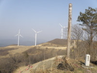 대규모 개발 영양풍력단지, 생태계 파괴 헛바람
